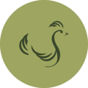 Scandinavian Standard Nordic AB logotyp