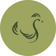 Scandi Standard AB (publ) logotyp