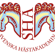 Dalecarlian Horse Academy AB logotyp