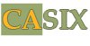 Casix AB logotyp
