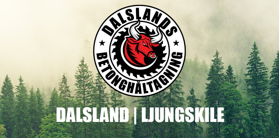 Dalslands Betonghåltagning Aktiebolag logotyp