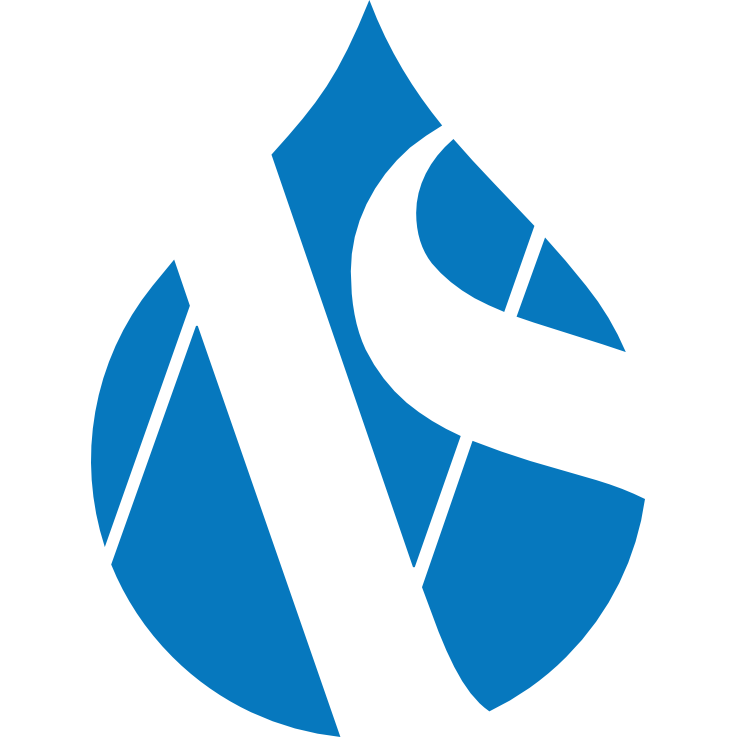 Websystem i Örnsköldsvik AB logotyp