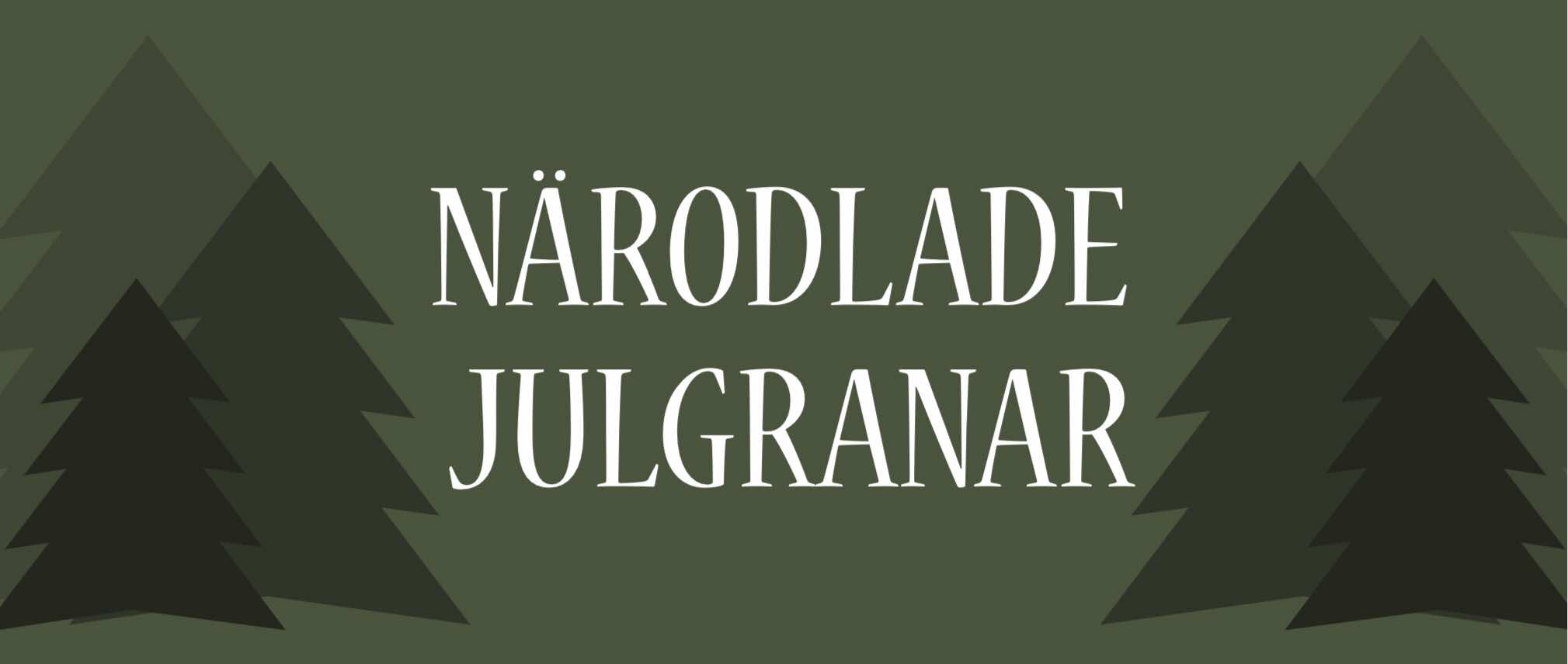 Settergrens Julgranar AB logotyp
