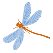 Boodla AB logotyp