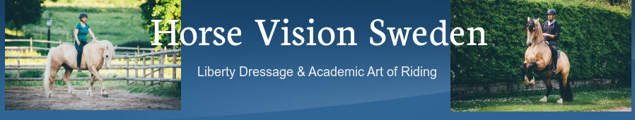 Horse Vision Sweden AB logotyp