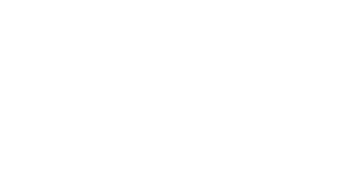Big Rooster AB logotyp
