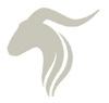 Lotti P. AB logotyp