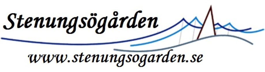 Stenungsöns Kök & Bar AB logotyp