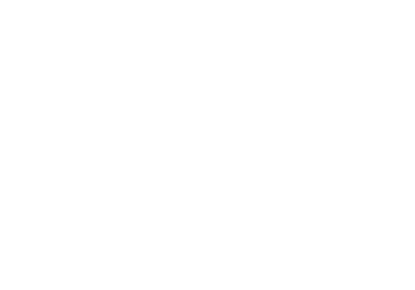 Svenska Distans AB logotyp