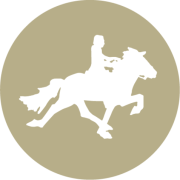 Stenholmen Förvaltning AB logotyp
