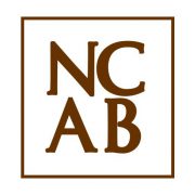 Norrback Consulting AB logotyp