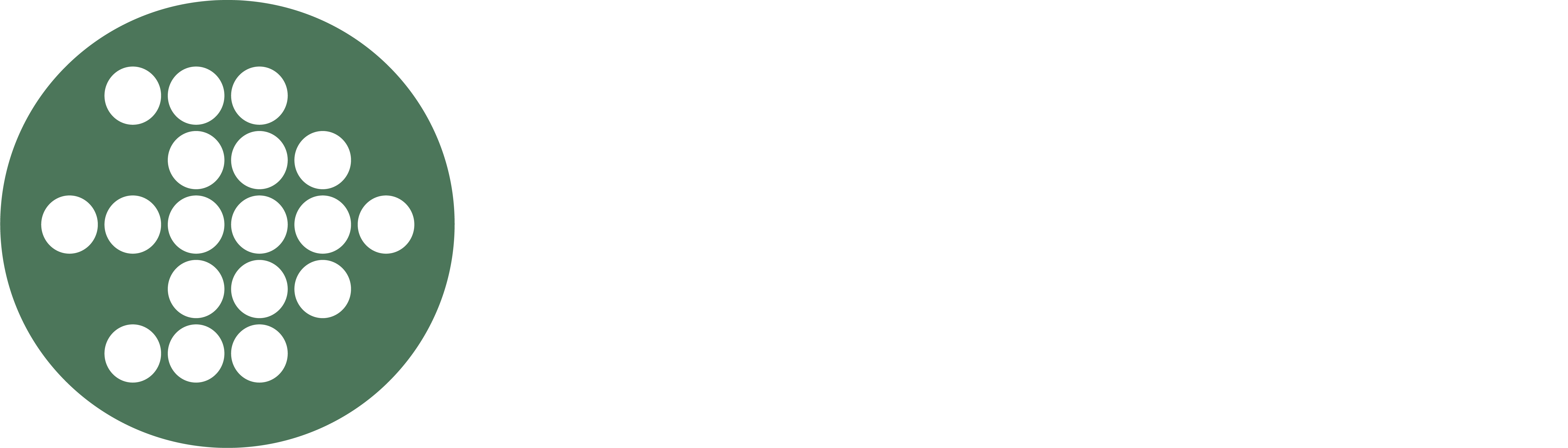 Vellinge Stadsnät AB logotyp