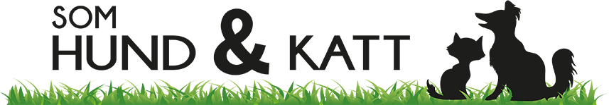 SHOK i Växjö AB logotyp