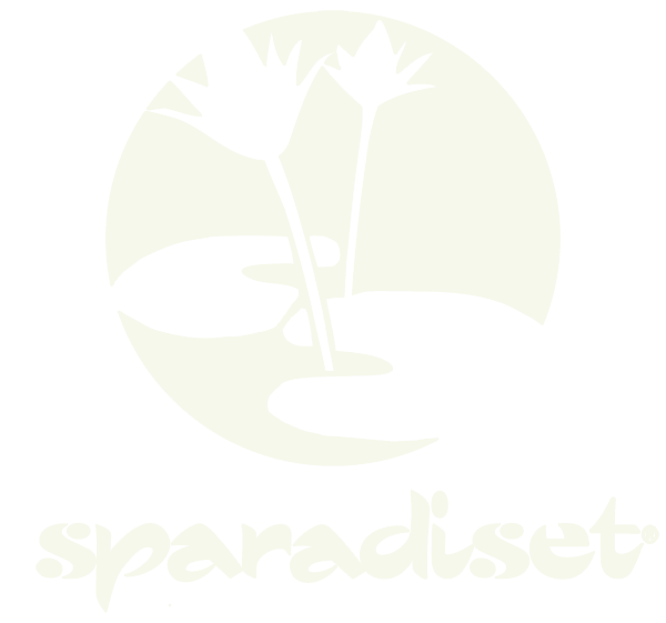 Sparadiset Spakedjan Holding AB logotyp