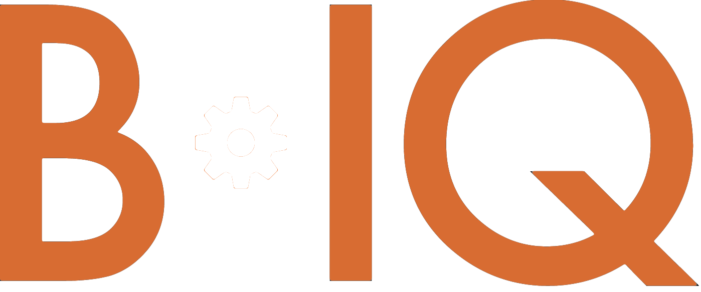 Business In Quaternion AB logotyp