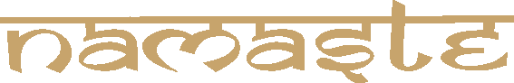 Salaam Namaste AB logotyp