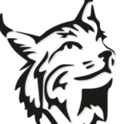 Lynx Omsorg AB logotyp