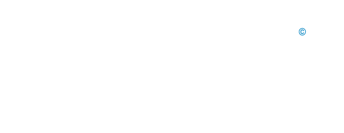 Betfjord Digital Labs AB logotyp