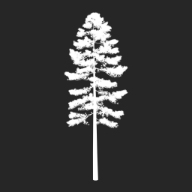 SibCon AB logotyp