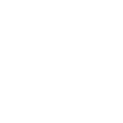 Brawn Supremacy AB logotyp