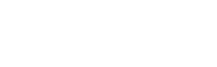 Premium Fönster & Bygg Sweden AB logotyp
