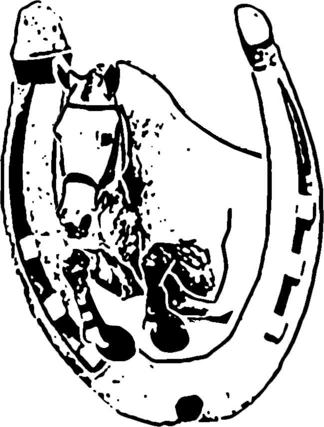 L Lundkvist Hovslageri AB logotyp