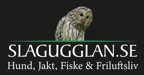 Slagugglan AB logotyp