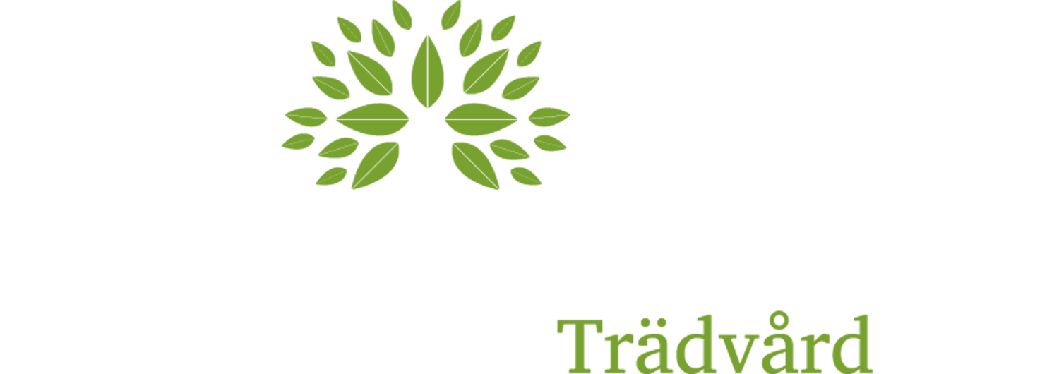 Ranglo Axe AB logotyp