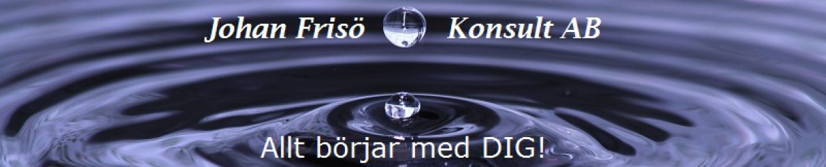 Johan Frisö Konsult AB logotyp