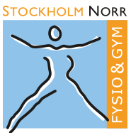Tommy Hansson Fysioterapi AB logotyp
