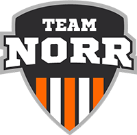 TeamNorr IT-Partner AB logotyp