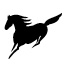 Stierna Equestrian Sportswear AB logotyp