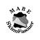 M A B E SkinnFasoner AB logotyp