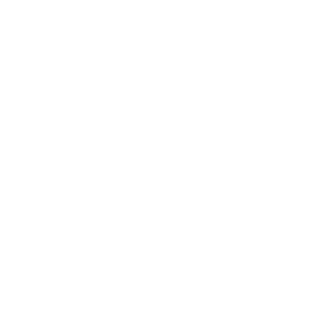 VIKTOR SKOGQVIST AB logotyp