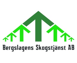 Bergslagens Skogstjänst AB logotyp