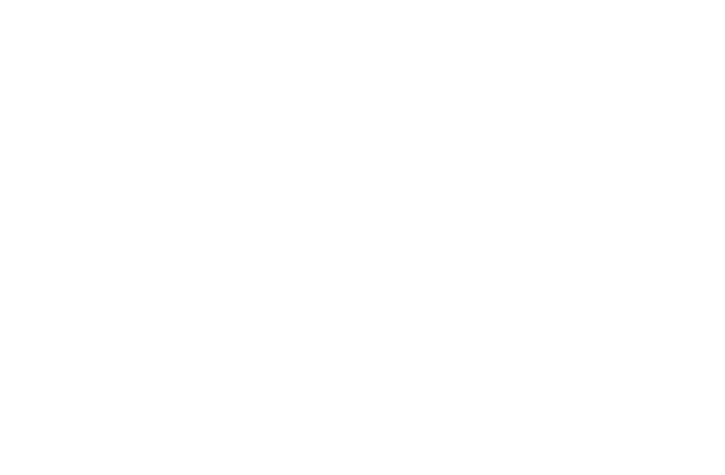 Lassestorg AB logotyp