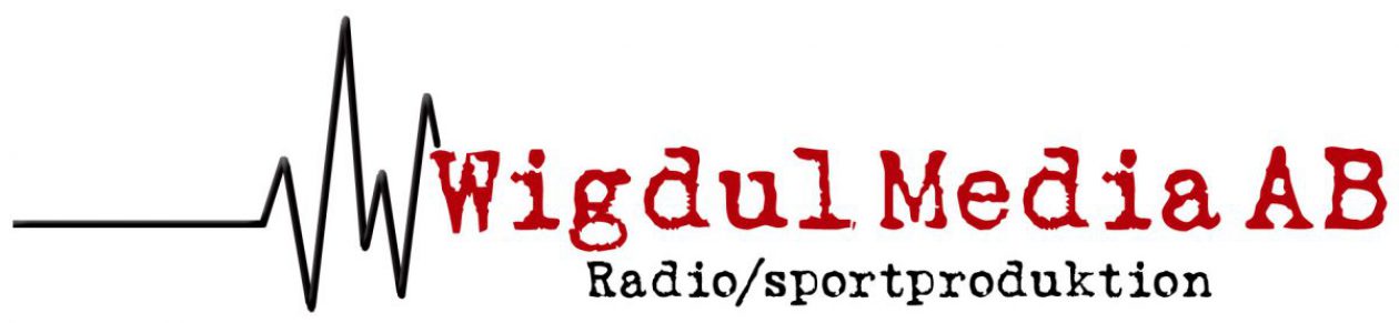 Wigdul Media AB logotyp