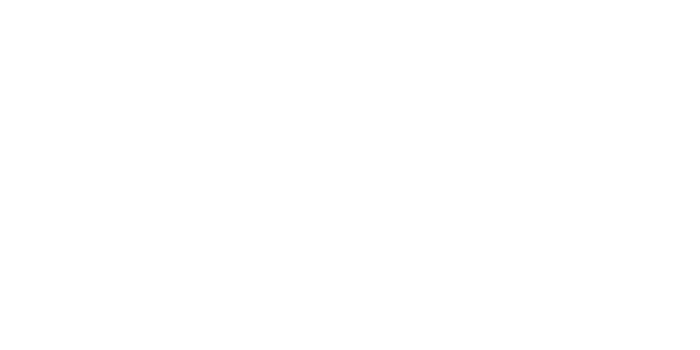 Vanessa Leporati Consulting AB logotyp