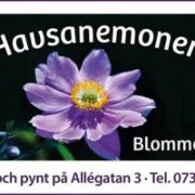 Havsanemonen AB logotyp