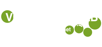 VibeHus Bygg AB logotyp