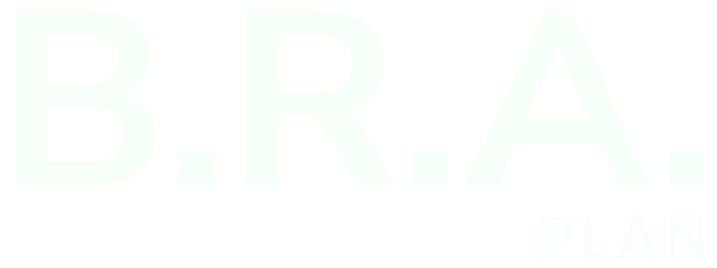 B.R.A. PLAN AB logotyp