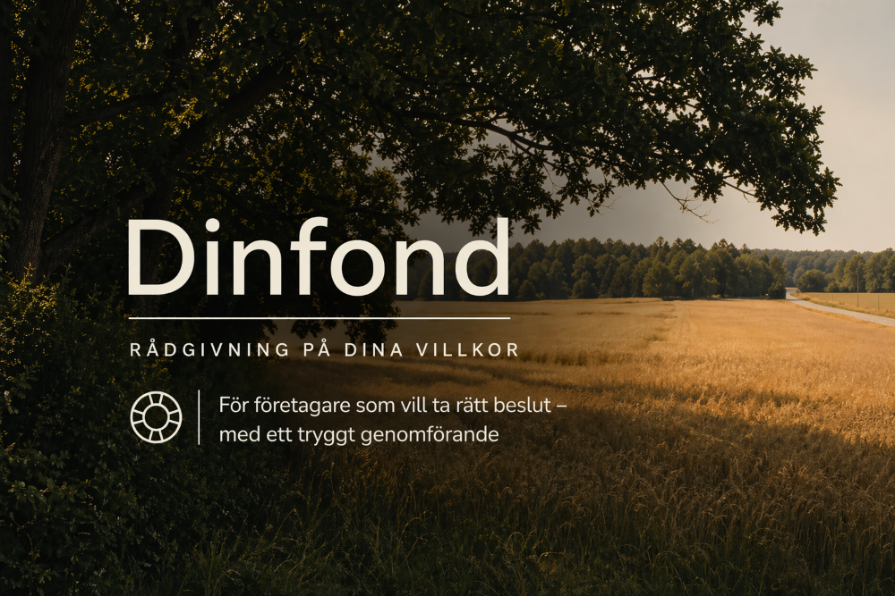 Dinfond i Mälardalen AB logotyp