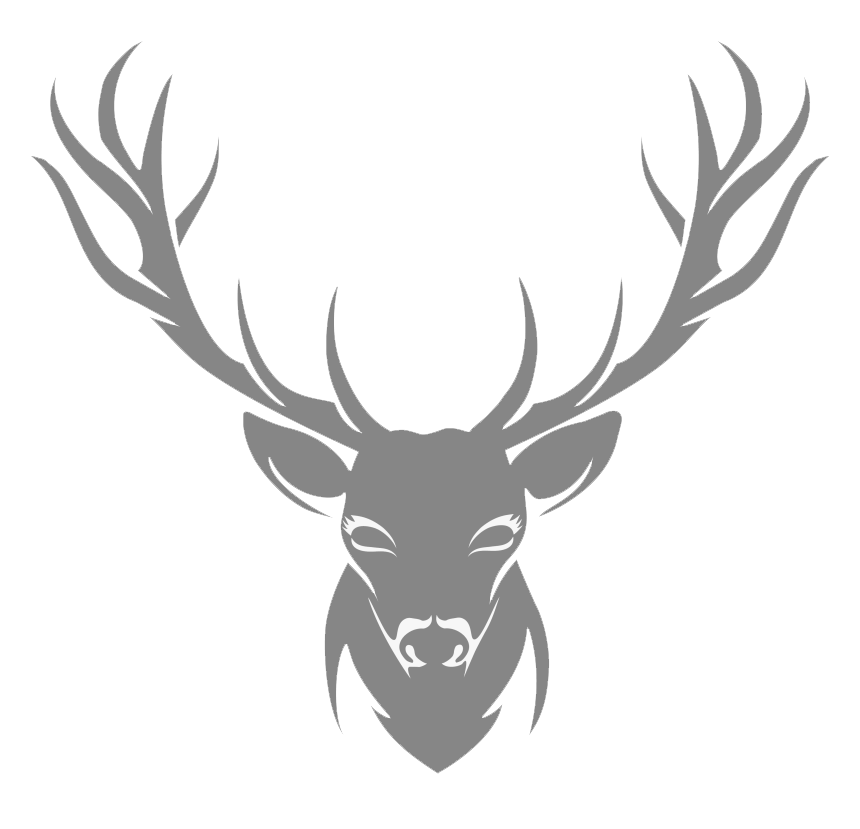 ALCEVE FJÄLL AB logotyp