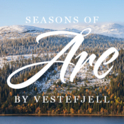 Niclas Vestefjell photography AB logotyp