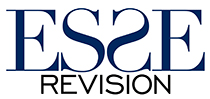 S-E Revision & Redovisning AB logotyp