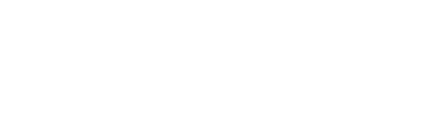 Developers Bay AB logotyp