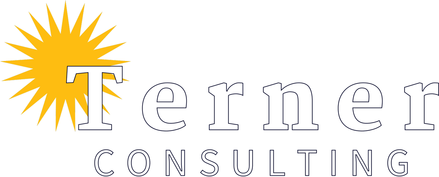 Terner Consulting AB logotyp