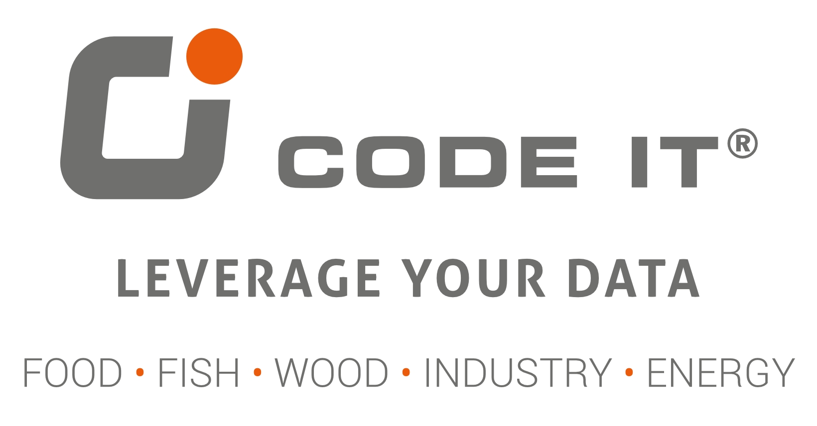 CodeIT AB logotyp