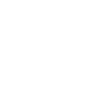 NAOU AB logotyp