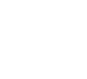 flow intelligence AB logotyp